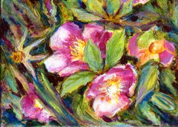 "Wild Roses of Primrose, WI" by Sandra Haspl, Fitchburg WI - Acrylic